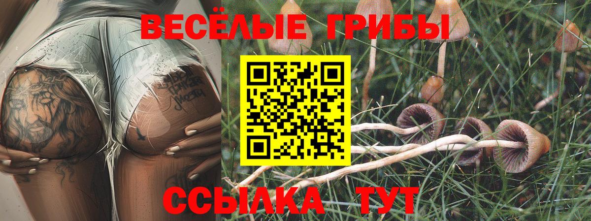 Канаш  Псилоцибиновые грибы GOLDEN TEACHER  Вход с VPN 